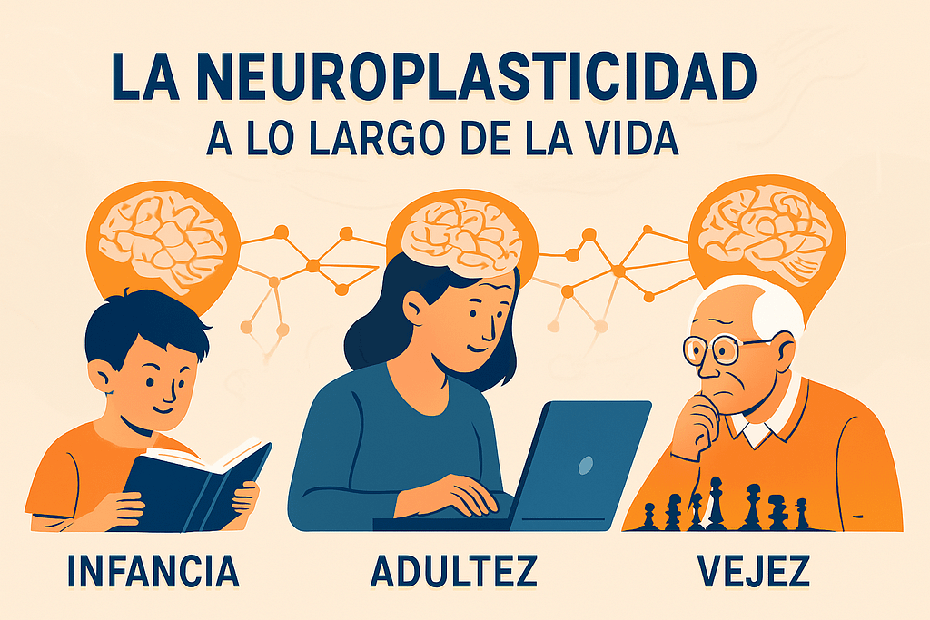 La Neuroplasticidad a lo largo de la vida.